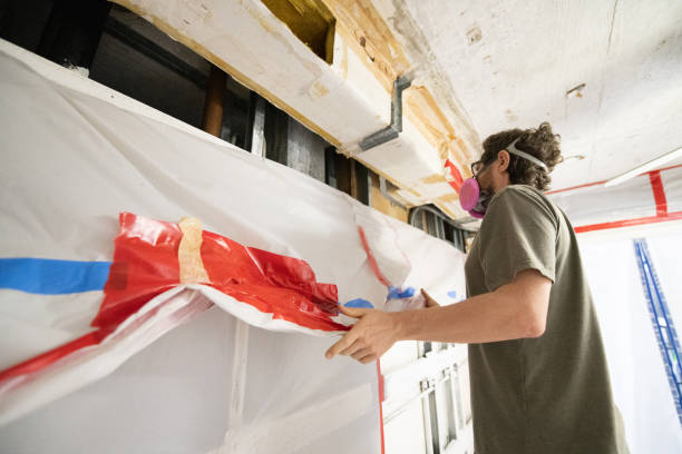 Best Mold Remediation for Vacation Homes  in International Falls, MN