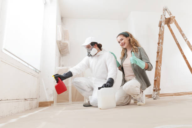 Best Mold Damage Restoration  in International Falls, MN